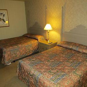 Deluxe Double Room Two Double Beds